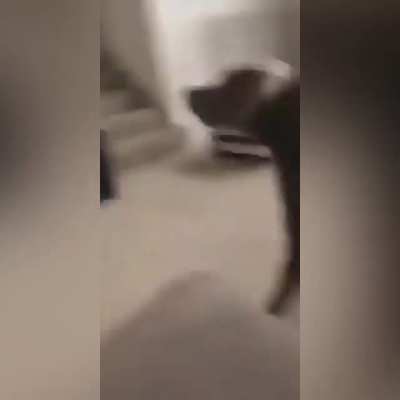 MonkaW