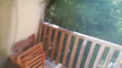 saw this bitch at my window