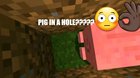 🐷🚫kill pig haram👍gay infidel😳isis allah💥bomb👳🏿‍♂️☝🏿