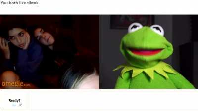 Kermit tries something