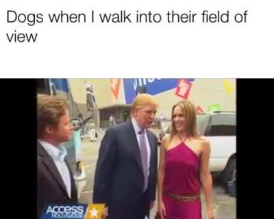 True