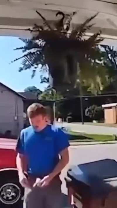 That plant was just hanging around.