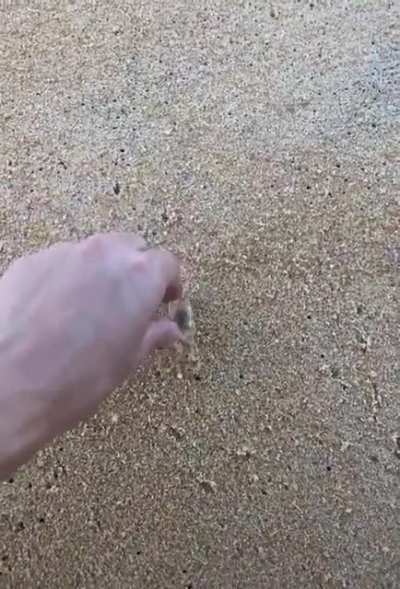 Cartoon speed irl