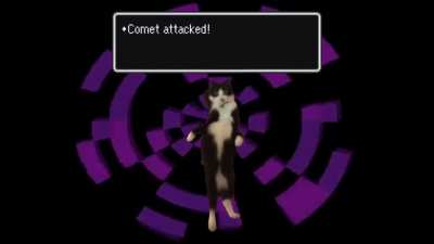 what a cute cat, surely it couldn’t be an enemy