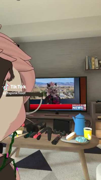 Furry_irl