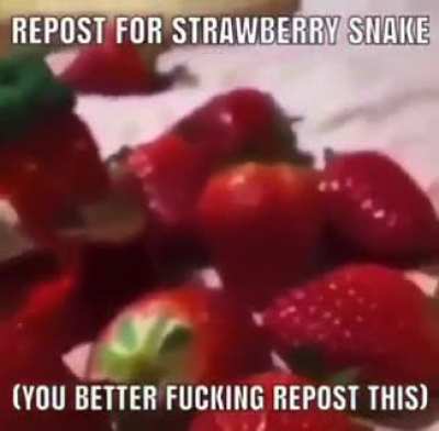 Or else