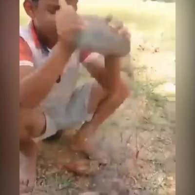 Be careful while cracking nuts.