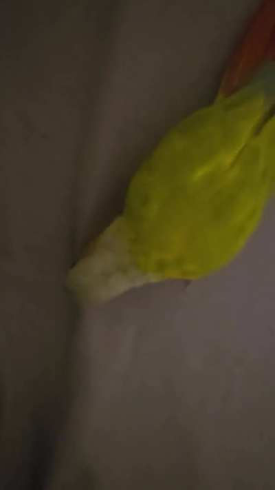 Behavior help