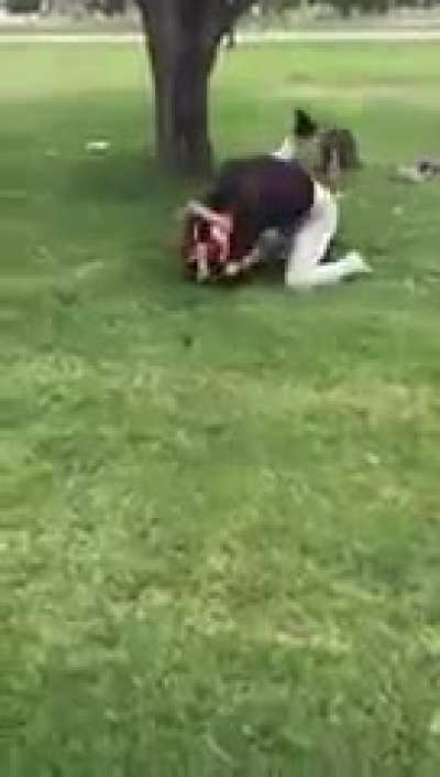 ragdolled and beatdown..