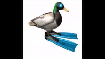 borgar