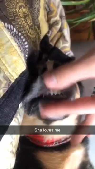 #lipsyncassassin