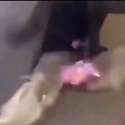 Cursed_fire