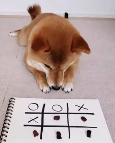Smart Doggo