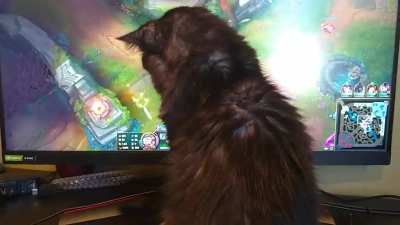 Trying to play league be like