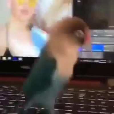 LOLDE BÖYLE YAPTIĞINI DÜŞÜN<wbr>SENİZ<wbr>E .