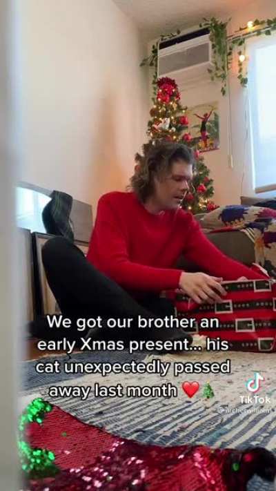 This brought me to tears