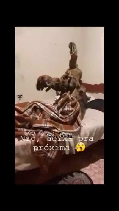 Springtrap depois do filme do fnaf dar errado 