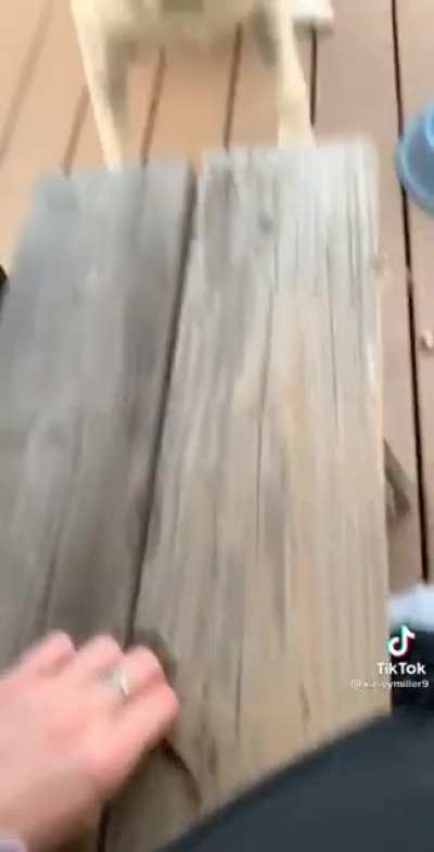 Smol stick