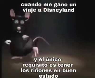 Amigos nos vamos de paseo