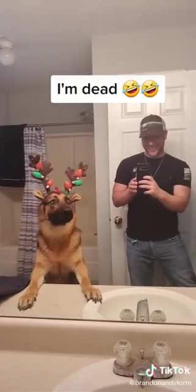 But why?