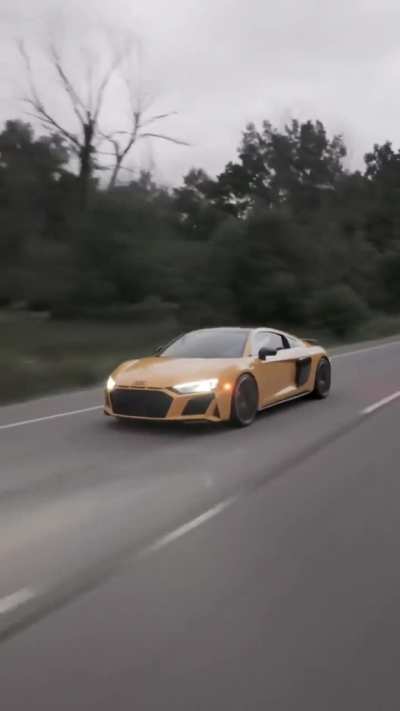 V10 Noises