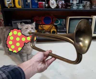 Brokentooth Meowarch