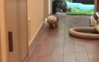 This is so adorable!
