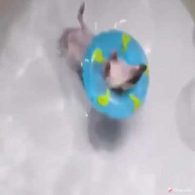 Floating hedgehogs