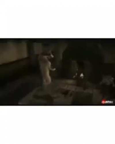 E aí meu nobre