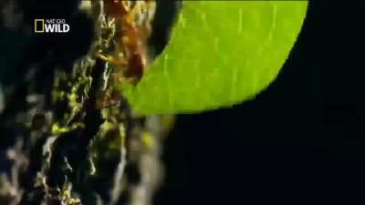 Alguem sabe o nome da musica desse video?