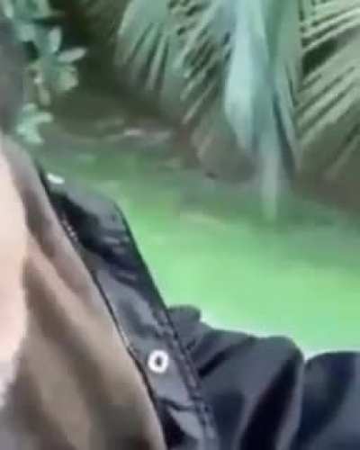 Not MONKE