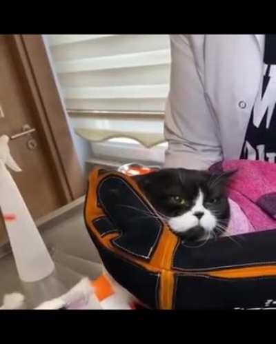 Olum çok iyi lan