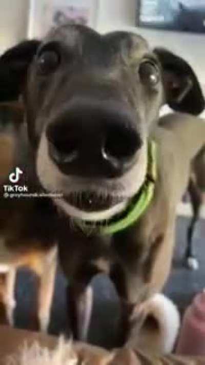 (sound on) brrr