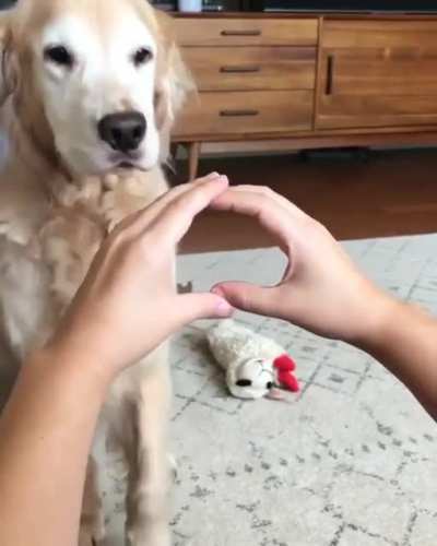 He tried his best