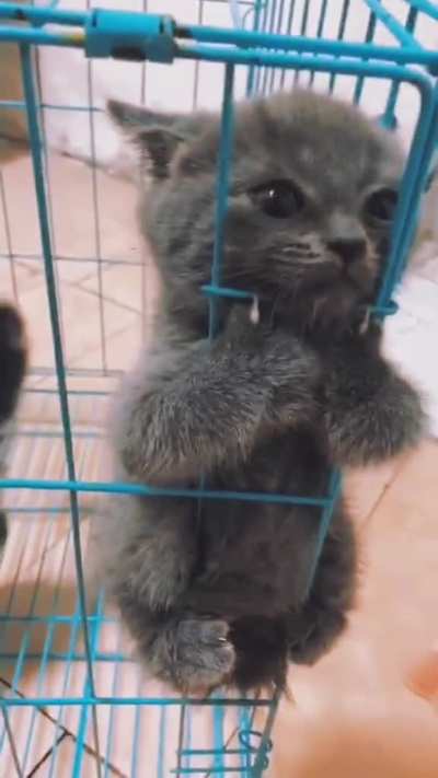 Please release me, let me go...