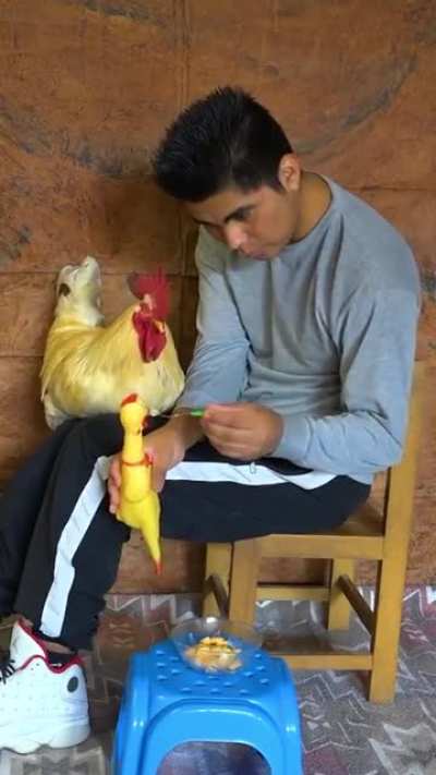 No que no