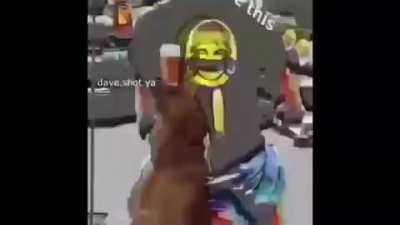 Feel like this belongs here