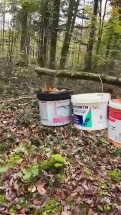 🍄🍄🍄🍄🐺🍄🍄🍄🍄