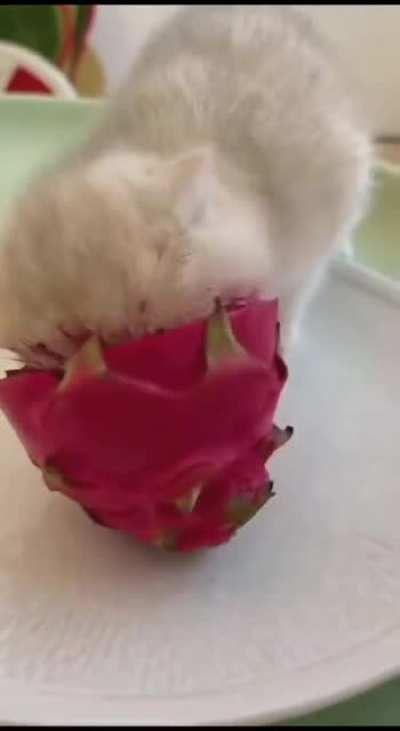 vIcIoUs mOnStEr cAuGhT dEvOuRiNg bLoOdY eNtRaiLs oF vIcTiM