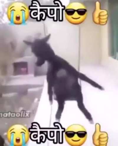 🇲🇻