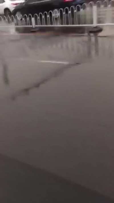 Wait! Your bumper!