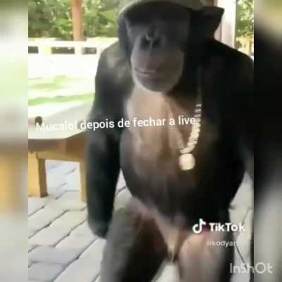 Muca com o dinheiro dos viewrs