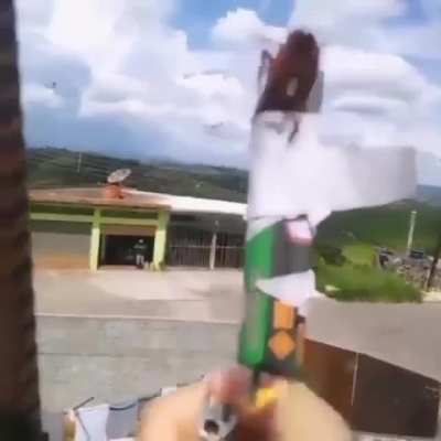 Chie chie chie chie