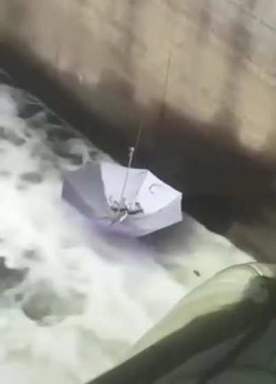 Who needs a fishing pole anyway.