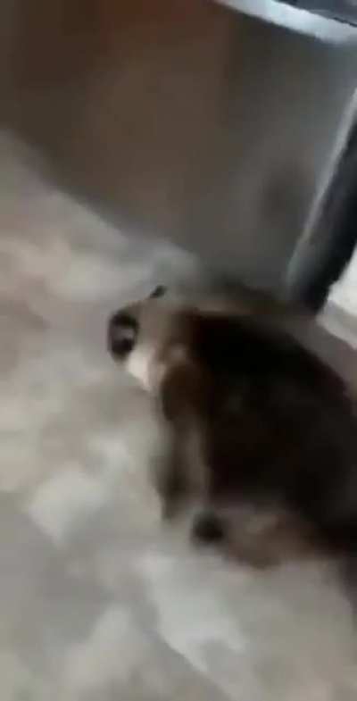 Эваку<wbr>ация