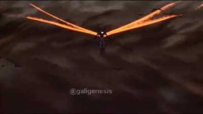 AAAAAAAA