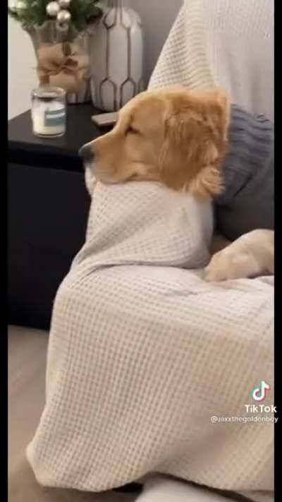 Spot for my snoot