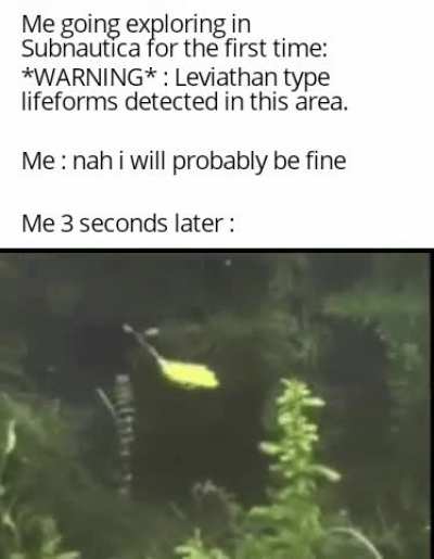 What could possibly go wrong