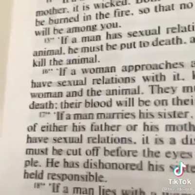Blursed_bible