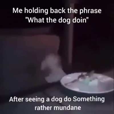 what the rule doin